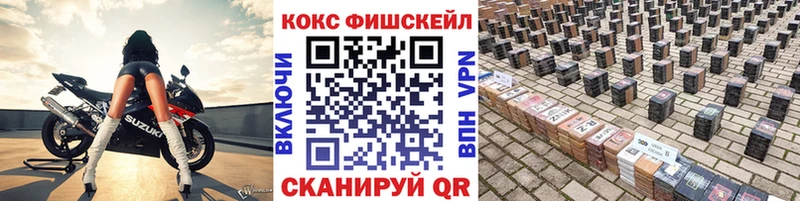Cocaine FishScale  купить закладку  Кирс 