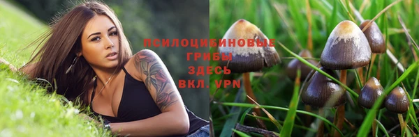 mdpv Билибино