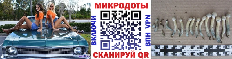 Псилоцибиновые грибы мицелий  Кирс 