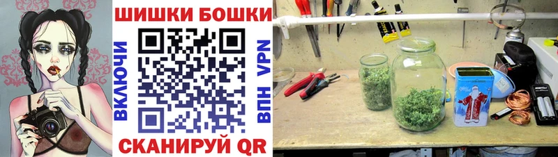 Конопля план  купить наркоту  Кирс 